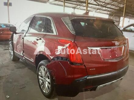 2019 Cadillac #3