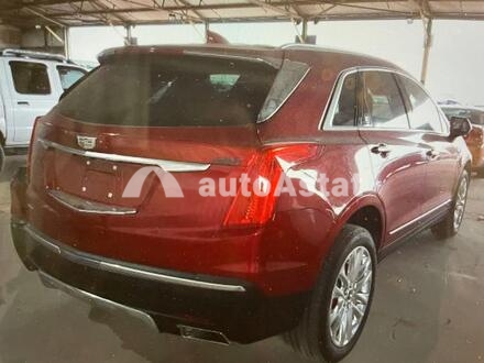 2019 Cadillac #4