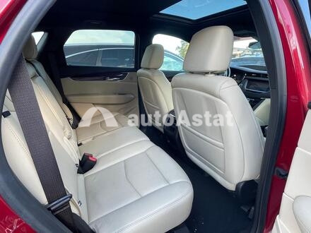 2019 Cadillac #6