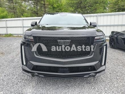 2023 Cadillac #5