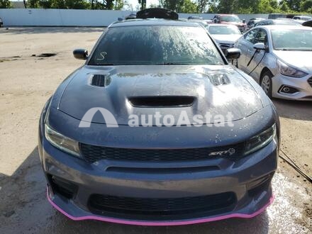 2022 Dodge #5
