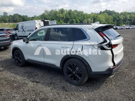 2025 Honda #2