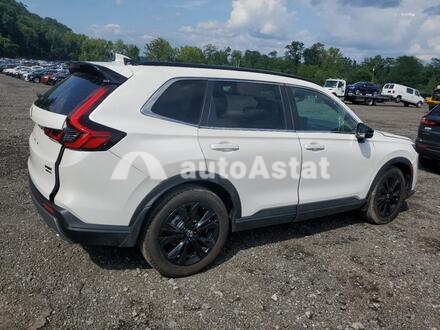 2025 Honda #3