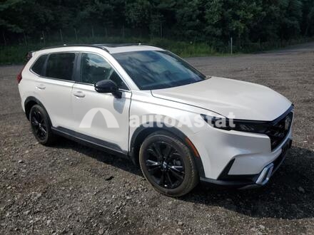2025 Honda #4