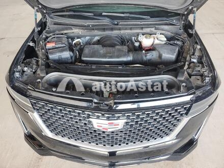2022 Cadillac #12