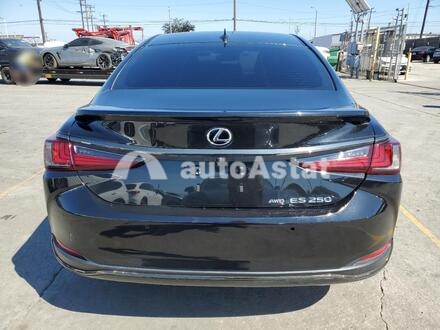 2022 Lexus #6
