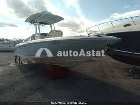 Boston Whaler Other