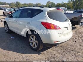 2009 Nissan Murano #3