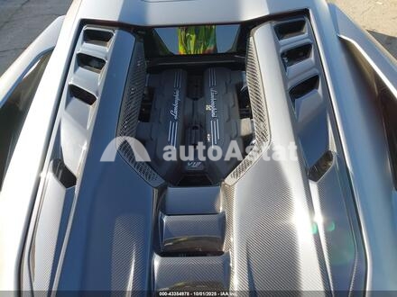 2025 Lamborghini #10
