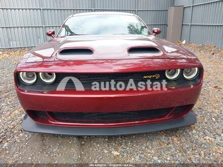 2019 Dodge #12
