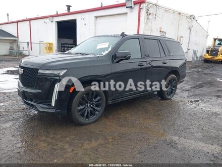 2024 Cadillac #2