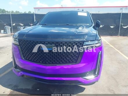 2023 Cadillac #6