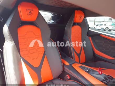 2024 Lamborghini #8