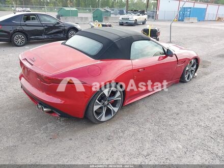 2024 Jaguar #4