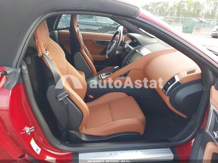 2024 Jaguar #5