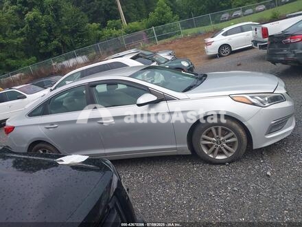 2015 Hyundai #14